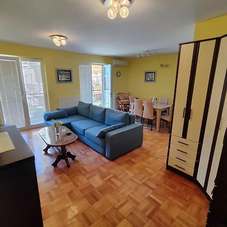 公寓 Leone Vrnjačka Banja