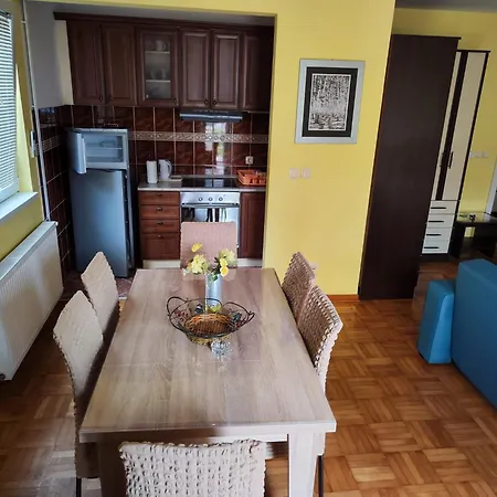 Appartamento Leone Vrnjačka Banja
